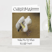 Hiding Pelican - Humorous Holiday Christmas Card