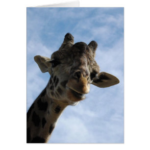 Hier betrachtet Sie!