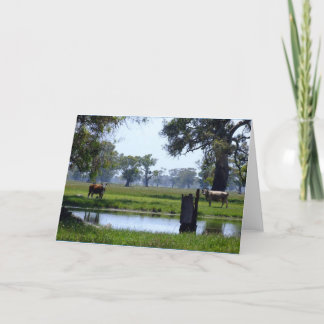 Hier betrachtet Sie Karte