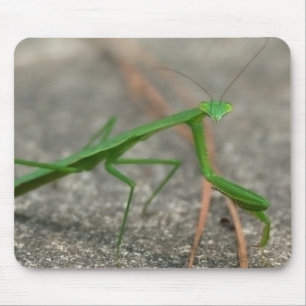 Hier betrachtet Sie (seitlich) Mousepad