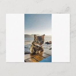 "Hier bin ich", sagt die Katze Postkarte