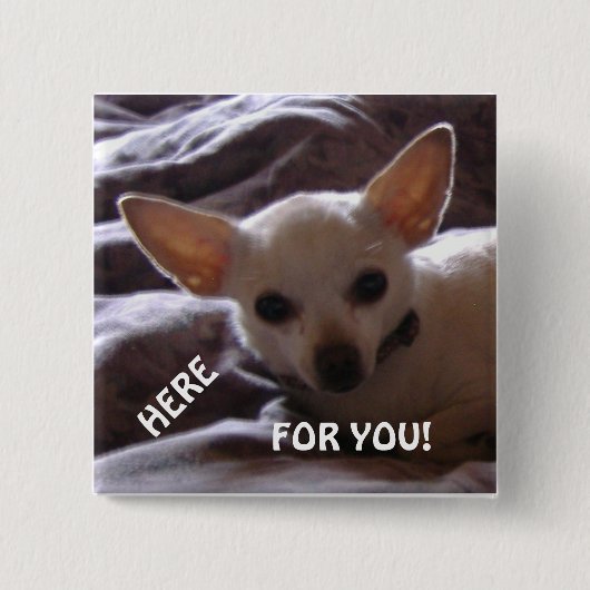 Hier finden Sie den Knopf Button (Vorderseite)