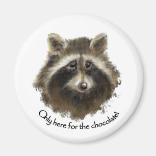 Hier für die Schokolade, niedlicher Raccoon, Tier Magnet