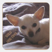 Hier für Sie Aufkleber (Vorderseite)