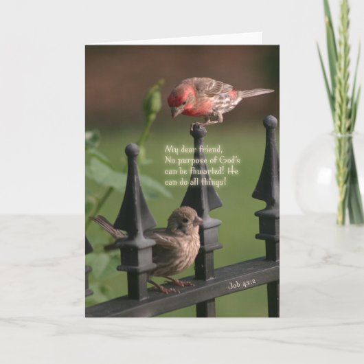 Hier für Sie Karte (Vorderseite)