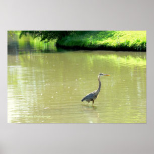 HIER IN POND/SHADES VON GRÜNEN/GELB/FOTOG. POSTER