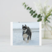 Hier ist Ärger Postkarte (Stehend Vorderseite)