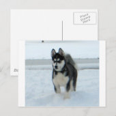 Hier ist Ärger Postkarte (Vorne/Hinten)