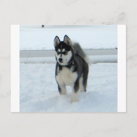 Hier ist Ärger Postkarte (Vorderseite)