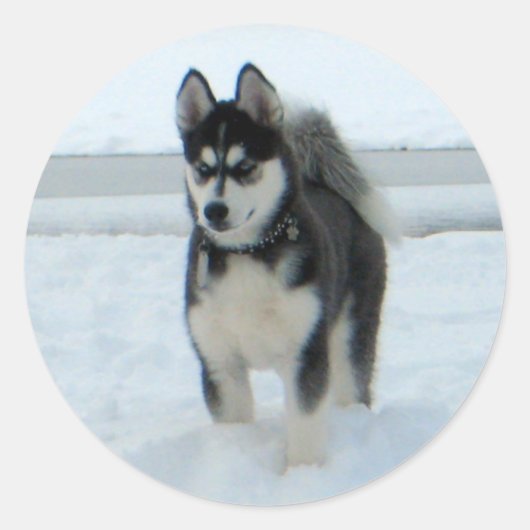 Hier ist Ärger Runder Aufkleber (Vorderseite)