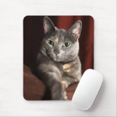 Hier ist das Geld Mousepad (Mit Mouse)
