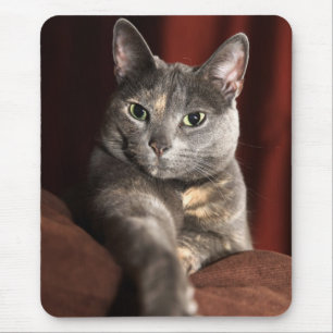 Hier ist das Geld Mousepad
