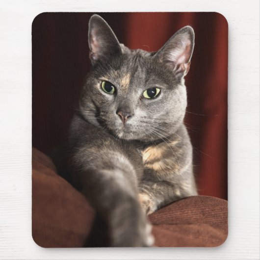 Hier ist das Geld Mousepad (Vorne)