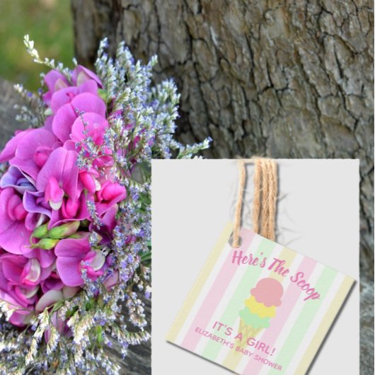 Hier ist die Scoop Ice Cream Summer Baby Dusche Geschenkanhänger