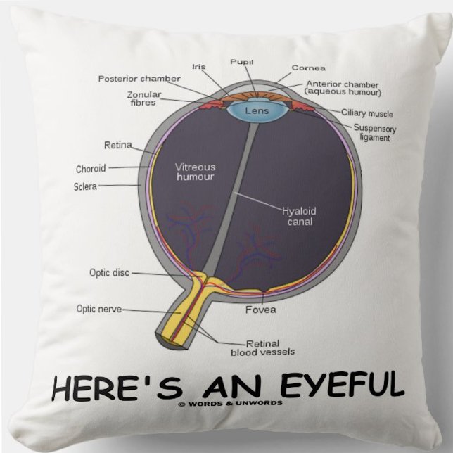 Hier ist ein sehender (Augenanatomie-Spaß) Kissen (Throw pillow featuring human eye anatomy along with the caption "Here's An Eyeful")