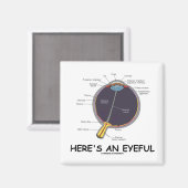 Hier ist ein sehender (Augenanatomie-Spaß) Magnet (Vorderseite/Rückseite)
