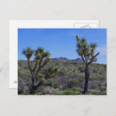 Hier ist Johnny.. Postkarte (Vorne/Hinten)