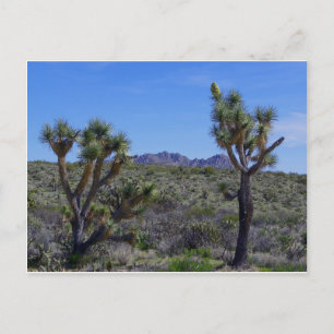 Hier ist Johnny.. Postkarte