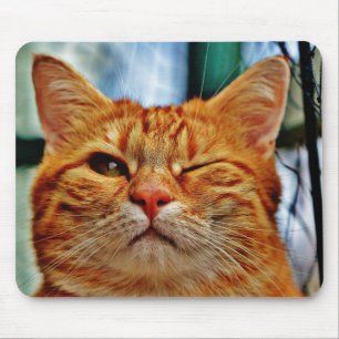 Hier ist Winking bei dir. . . Mousepad