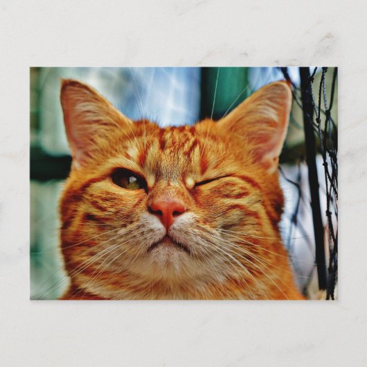 Hier ist Winking bei dir. . . Postkarte (Vorderseite)