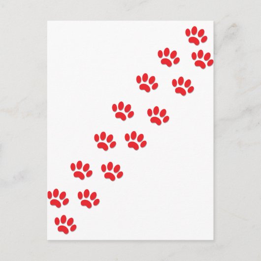 Hier Kitty Cat Paws Postkarte (Vorderseite)