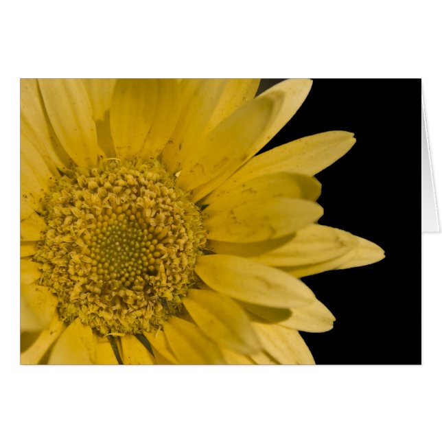 Hier kommt die Sonne (Vorderseite (Horizontal))