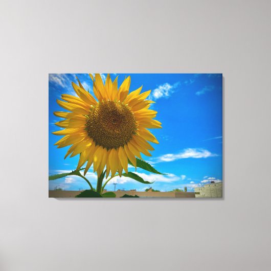 Hier kommt die Sonne Leinwanddruck (Vorderseite)