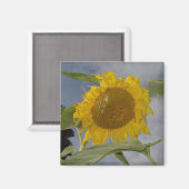 Hier kommt die Sonne Magnet (Vorderseite/Rückseite)