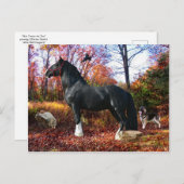 "Hier kommt die Sonne" Postkarte (Vorne/Hinten)