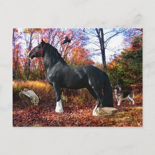 "Hier kommt die Sonne" Postkarte (Vorderseite)