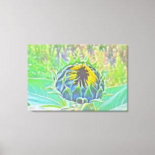 Hier kommt die sonnengefleckte Leinwand