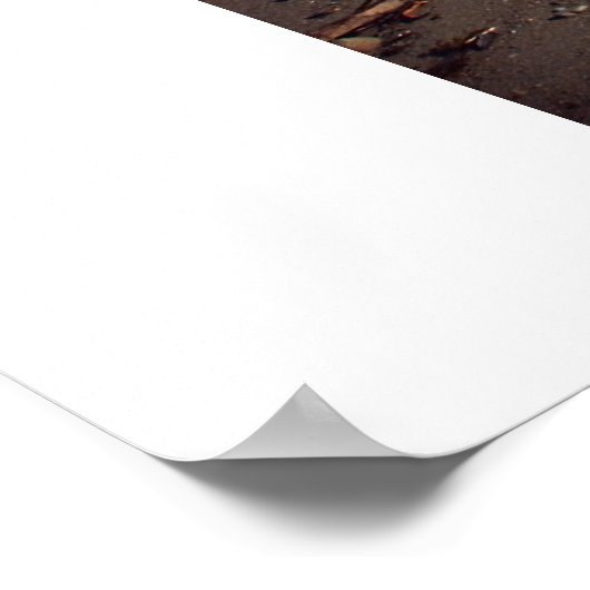 Hier kommt die Welle Poster (Ecke)