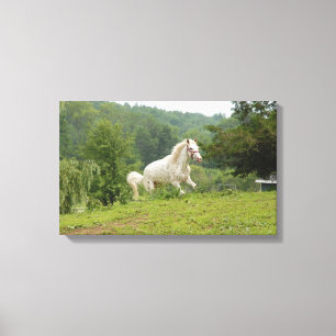 Hier kommt ich leinwanddruck