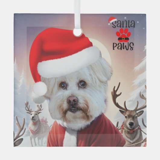 Hier kommt Santa Dog Ornament Aus Glas (Vorderseite)