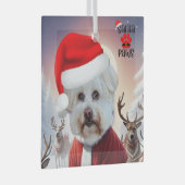Hier kommt Santa Dog Ornament Aus Glas (Vorderseite Rechts)