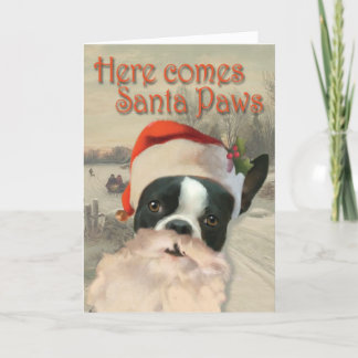 Hier kommt Santa Paws Feiertagskarte