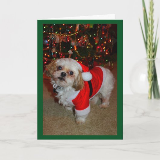 Hier kommt Santa Paws! Karte (Vorderseite)