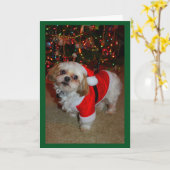 Hier kommt Santa Paws! Karte (Gelbe Blume)