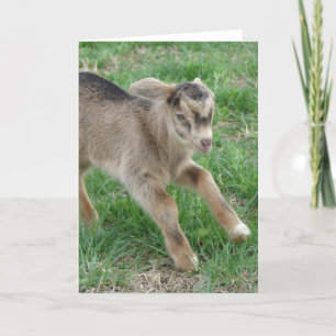 Hier kommt Thunder Karte