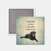 Hier lebt ein verwöhntes Rottenlabor Magnet (Vorderseite/Rückseite)