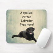 Hier lebt ein verwöhntes Rottenlabor Mousepad (Mit Mouse)