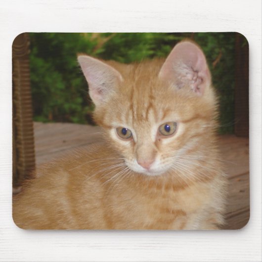 Hier Mousey, Mousey! Mousepad (Vorne)