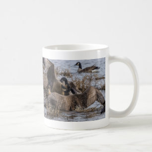 Hier nicht Gewollt Kaffee Tasse