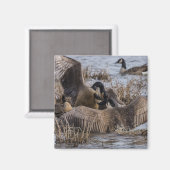 Hier nicht Gewollt Magnet (Vorderseite/Rückseite)