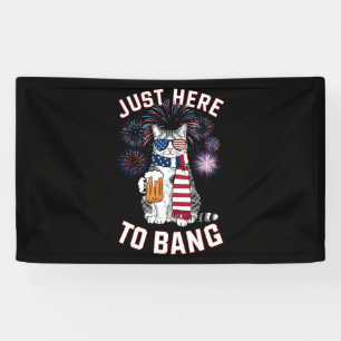 Hier nur um USA-Flagge-Bier-Katzenliebhaber am 4.  Banner