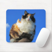 Hier oben aufschlagen mousepad (Mit Mouse)