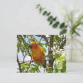 Hier Postkarte "Olivia" (Stehend Vorderseite)