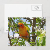 Hier Postkarte "Olivia" (Vorne/Hinten)