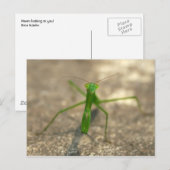 Hier sehen Sie die Postkarte (vorne) (Vorne/Hinten)