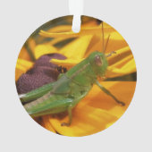 Hier sehen Sie - Grasshopper Ornament (Rückseite)
